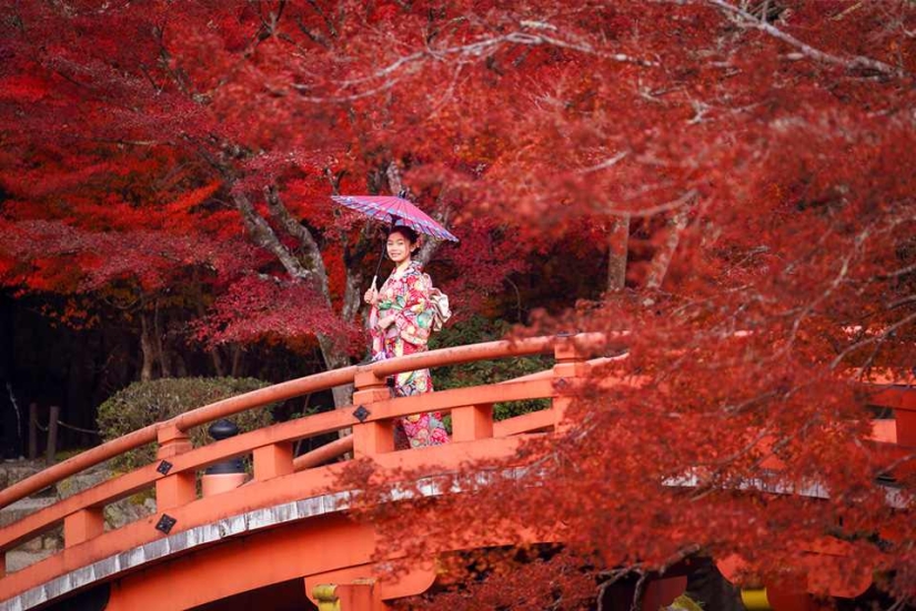 Momijigari: How the Japanese Turned Autumn Maple Admiration into an Art Momijigari: How the Japanese Turned Autumn Maple Admiration into an Art