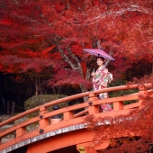 Momijigari: How the Japanese Turned Autumn Maple Admiration into an Art