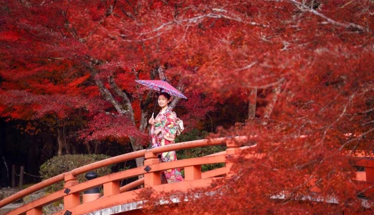 Momijigari: How the Japanese Turned Autumn Maple Admiration into an Art