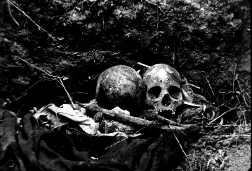 Monstruo de los Andes: la historia de Pedro López – uno de los maníacos más violentos del siglo 20 Monstruo de los Andes: la historia de Pedro López – uno de los maníacos más violentos del siglo 20