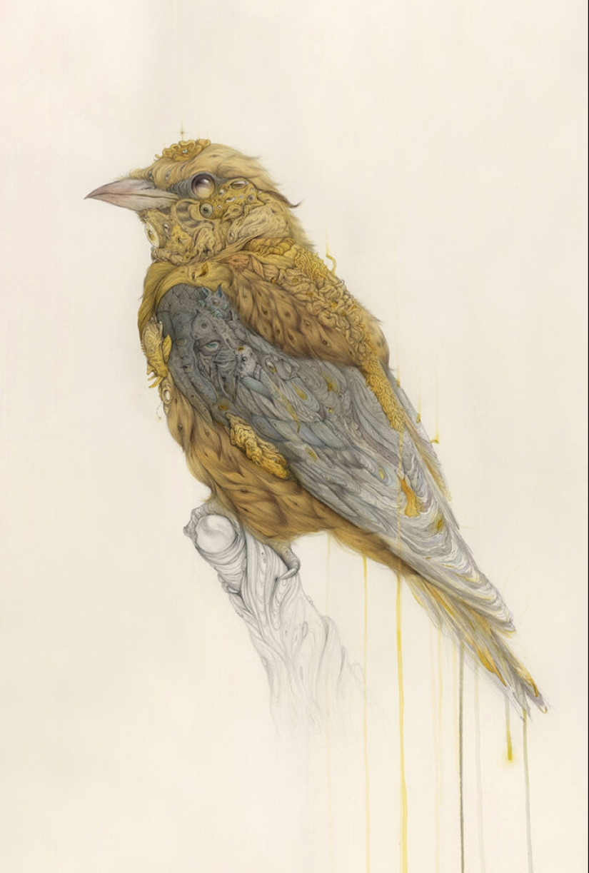 Monstruos lindos del artista Borge Sanchez Monstruos lindos del artista Borge Sanchez