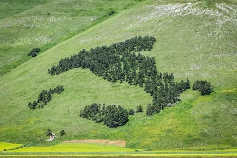 Monuments that produce oxygen