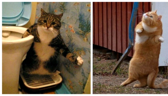 Motofoto tomadas en el momento justo Motofoto tomadas en el momento justo