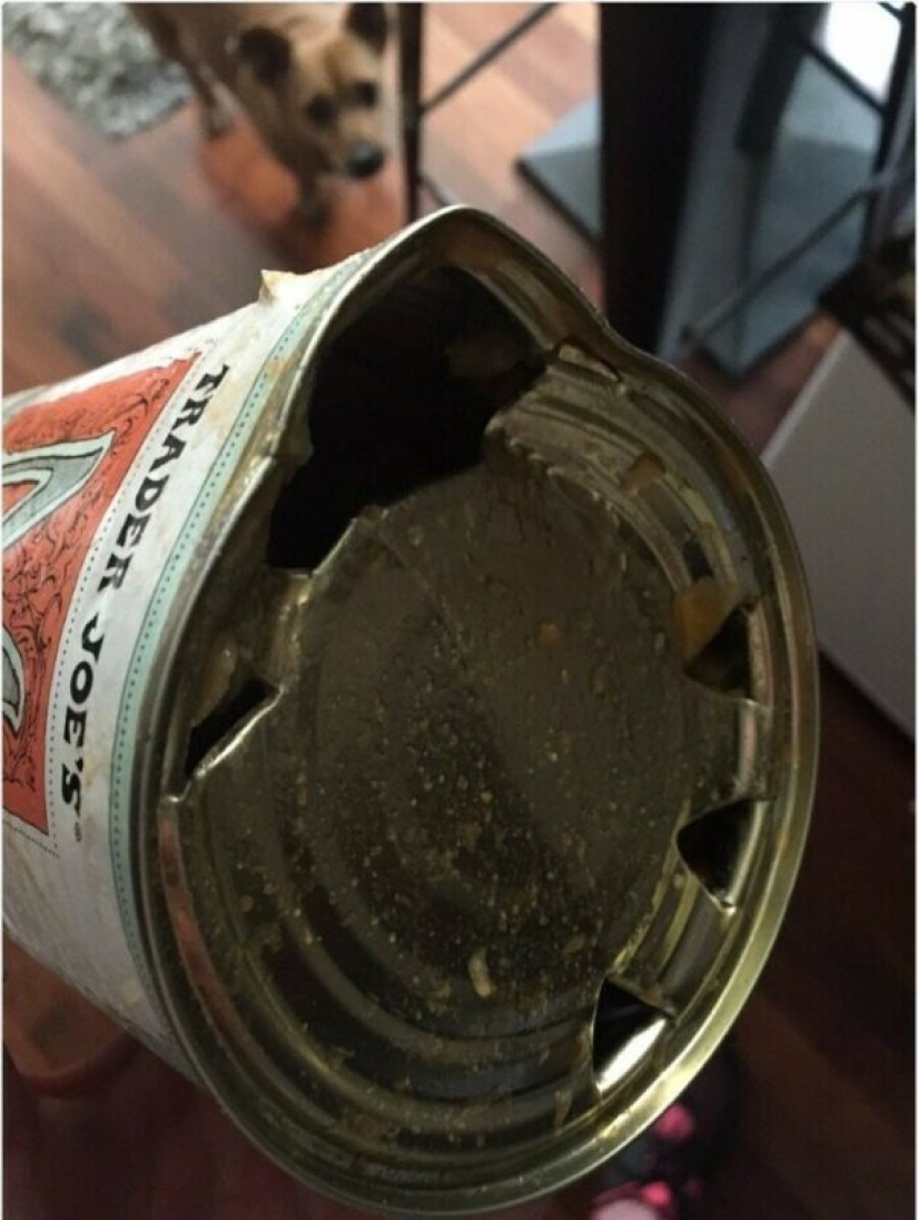 más de 20 pruebas visuales de que la vida de los zurdos está llena de pruebas más de 20 pruebas visuales de que la vida de los zurdos está llena de pruebas