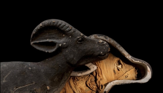 Mummies... pets of the pharaohs