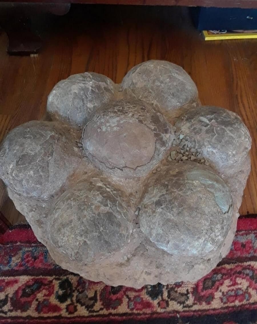 Mundo maravilloso: 42 increíbles y hermosas fotos Mundo maravilloso: 42 increíbles y hermosas fotos