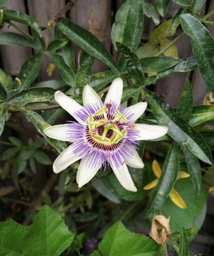 Mundo maravilloso: 42 increíbles y hermosas fotos Mundo maravilloso: 42 increíbles y hermosas fotos