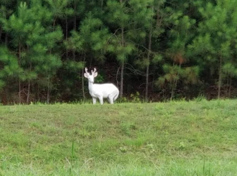 Mundo maravilloso: 42 increíbles y hermosas fotos Mundo maravilloso: 42 increíbles y hermosas fotos