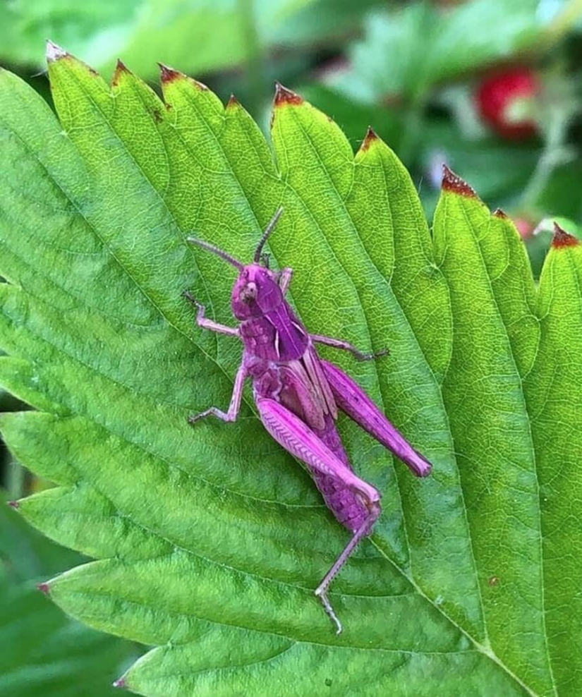 Mundo maravilloso: 42 increíbles y hermosas fotos Mundo maravilloso: 42 increíbles y hermosas fotos