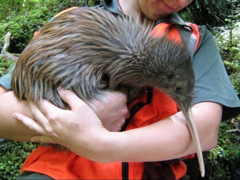 Mundo maravilloso: 42 increíbles y hermosas fotos Mundo maravilloso: 42 increíbles y hermosas fotos