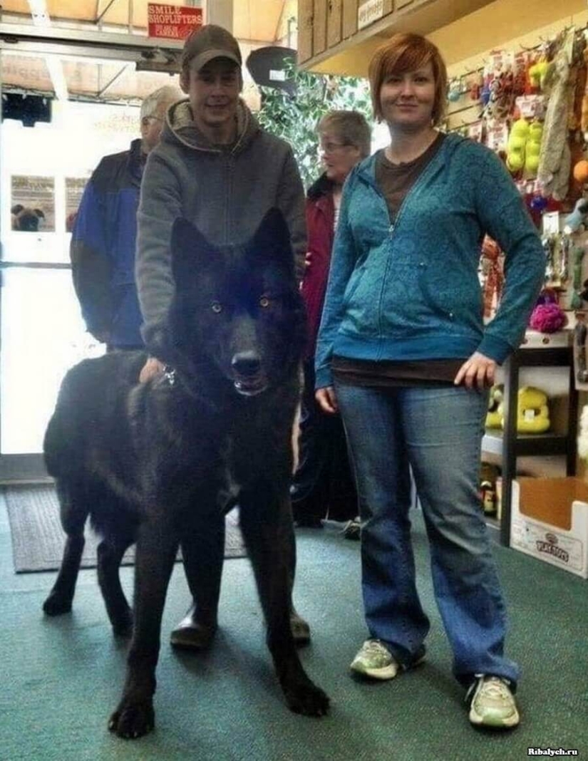 Mundo maravilloso: 42 increíbles y hermosas fotos Mundo maravilloso: 42 increíbles y hermosas fotos