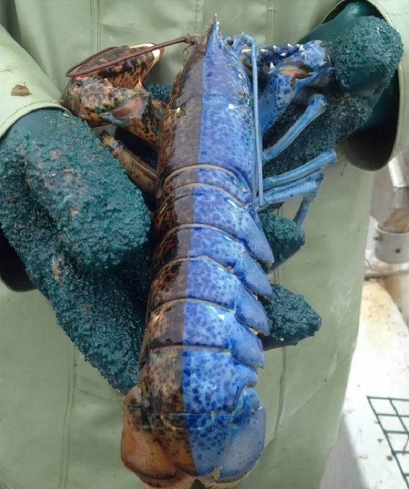 Mundo maravilloso: 42 increíbles y hermosas fotos Mundo maravilloso: 42 increíbles y hermosas fotos