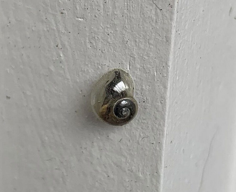 Mundo maravilloso: 42 increíbles y hermosas fotos Mundo maravilloso: 42 increíbles y hermosas fotos