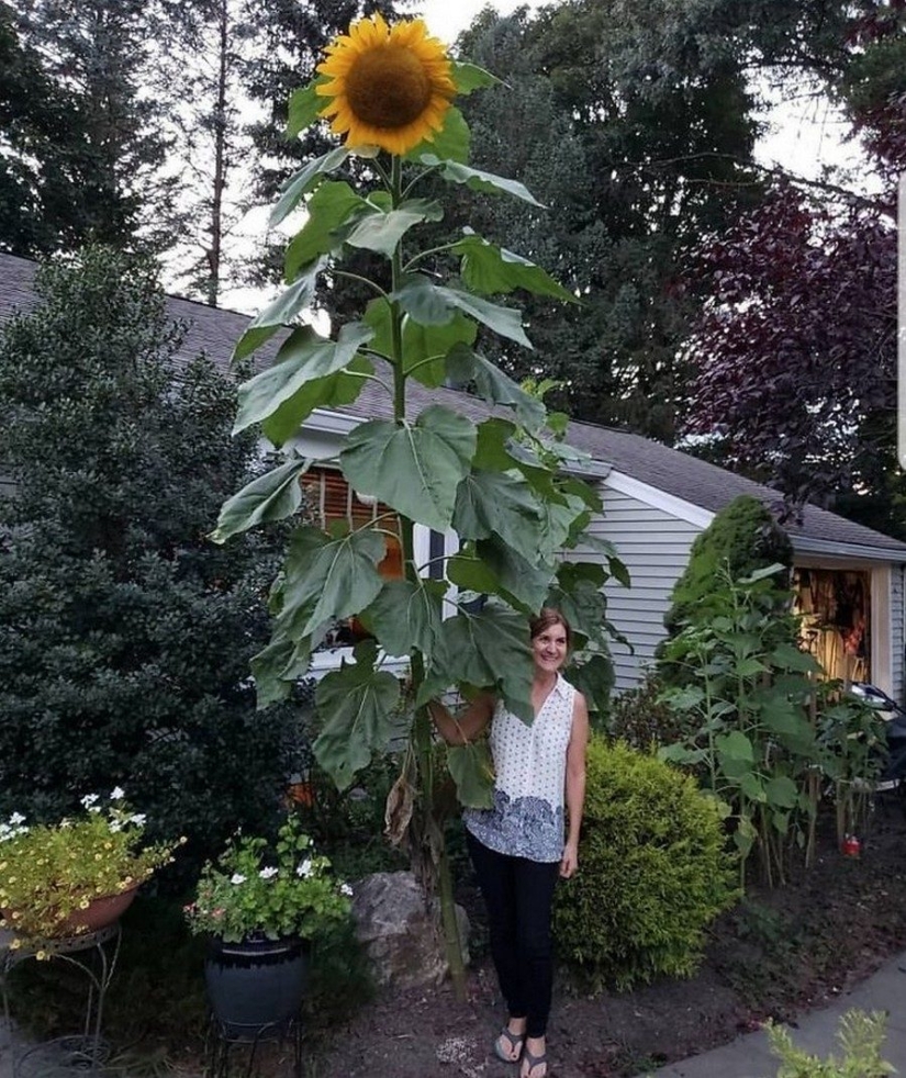 Mundo maravilloso: 42 increíbles y hermosas fotos Mundo maravilloso: 42 increíbles y hermosas fotos