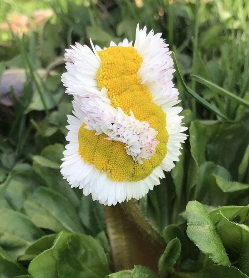 Mundo maravilloso: 42 increíbles y hermosas fotos Mundo maravilloso: 42 increíbles y hermosas fotos