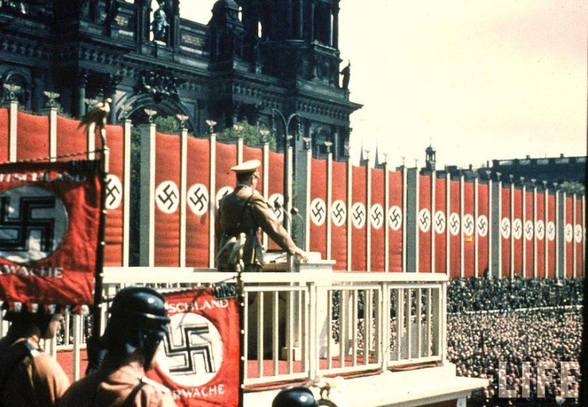 Music, urine, cats: 10 common things that can become weapons