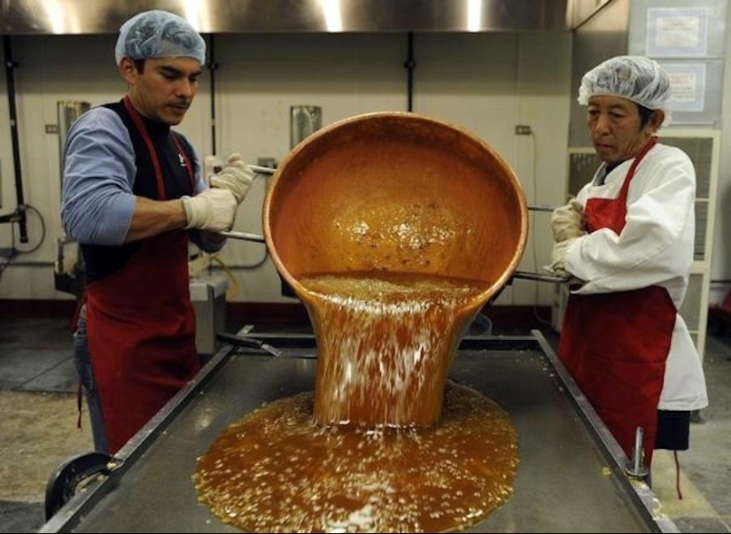 Music, urine, cats: 10 common things that can become weapons