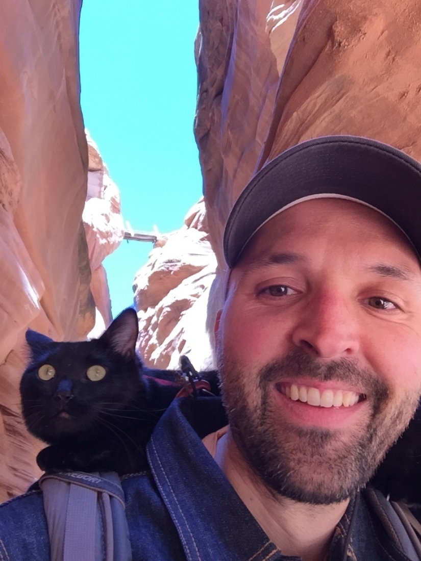 My climber: the world&#39;s first cat-climber
