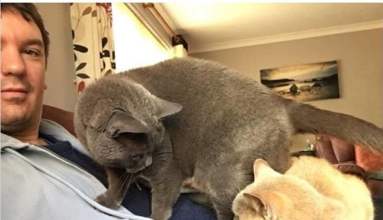 My house, my cat: photo of cats that walk on other people's homes My house, my cat: photo of cats that walk on other people's homes