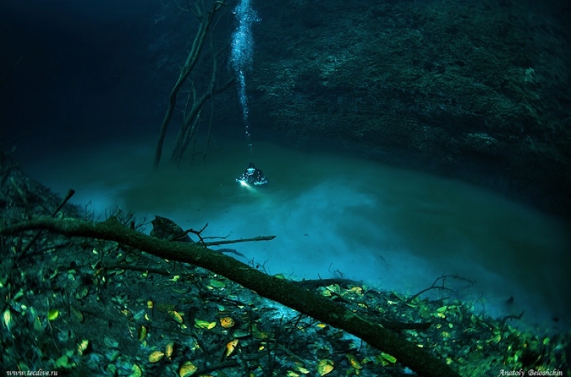 Mysterious underwater river flows along the ocean floor in Mexico