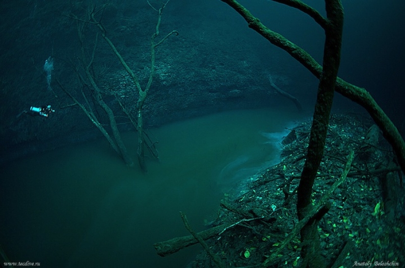 Mysterious underwater river flows along the ocean floor in Mexico