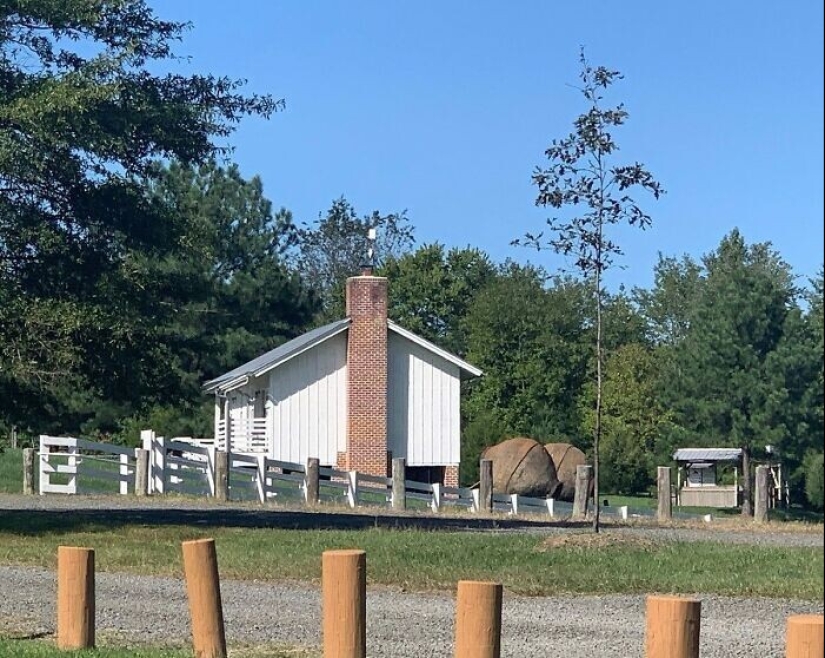 Mysterious "Wasp Nests" that were used for gold mining in America in the 19th century Mysterious "Wasp Nests" that were used for gold mining in America in the 19th century