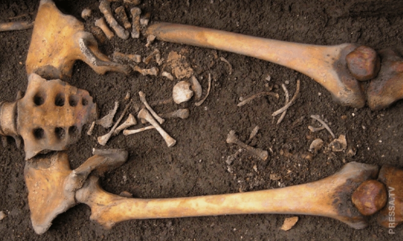 Nacimiento póstumo: los científicos explicaron el terrible fenómeno Nacimiento póstumo: los científicos explicaron el terrible fenómeno