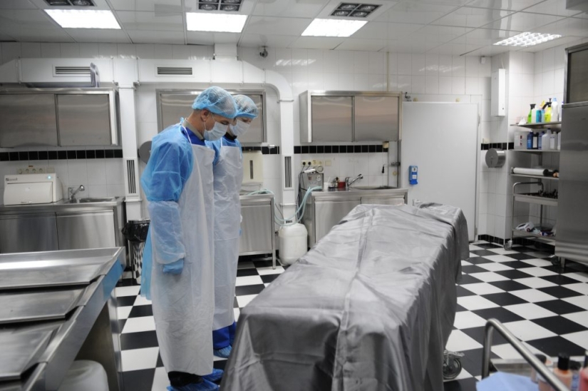 Nacimiento póstumo: los científicos explicaron el terrible fenómeno Nacimiento póstumo: los científicos explicaron el terrible fenómeno