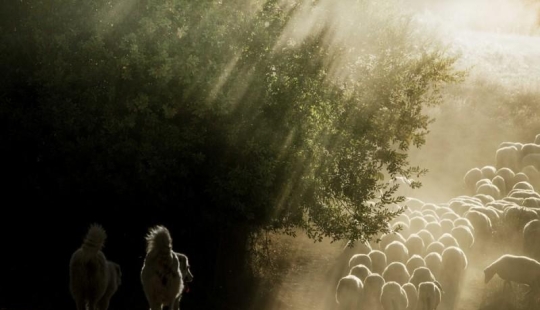 Nadie ha filmado la vida en el pueblo tan brillante