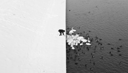 Natural minimalismo Natural minimalismo