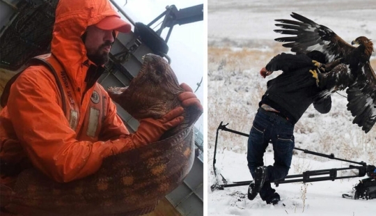 Nature is not to be trifled with! 22 photos that will convince you of this