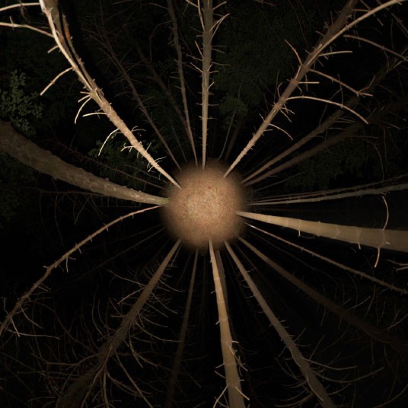 New Look at Old Places - Surreal Cities