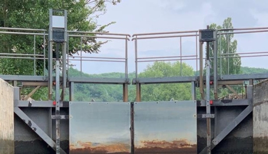 Nivel 80 Torsión de papel: La maestra de quilling Hadi Shafi y sus esculturas de papel que agradan a la vista