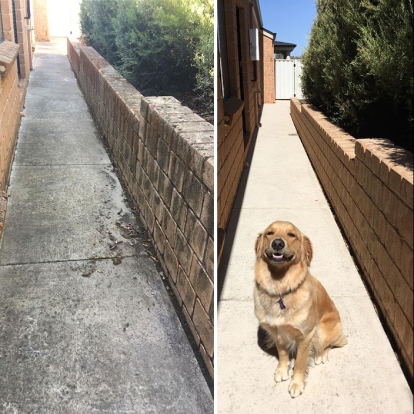 ¡No es una renovación, es una limpieza! 30 ejemplos de las transformaciones que puede traer una simple limpieza. ¡No es una renovación, es una limpieza! 30 ejemplos de las transformaciones que puede traer una simple limpieza.