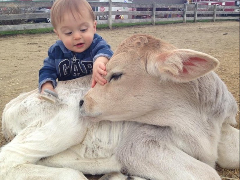 No estés triste: estos animales te recordarán que el mundo es hermoso después de todo No estés triste: estos animales te recordarán que el mundo es hermoso después de todo