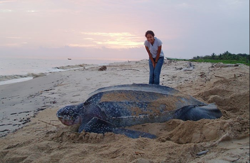 No photomontage! 26 objects that are much bigger in reality than you thought No photomontage! 26 objects that are much bigger in reality than you thought