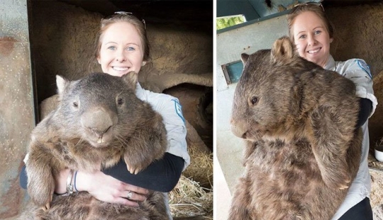 No photomontage! 26 objects that are much bigger in reality than you thought No photomontage! 26 objects that are much bigger in reality than you thought