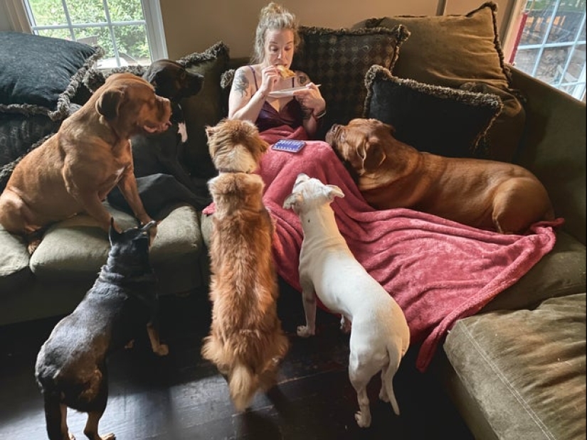 ¡No puedes rechazarlos! 22 fotos de animales mirando comida ¡No puedes rechazarlos! 22 fotos de animales mirando comida