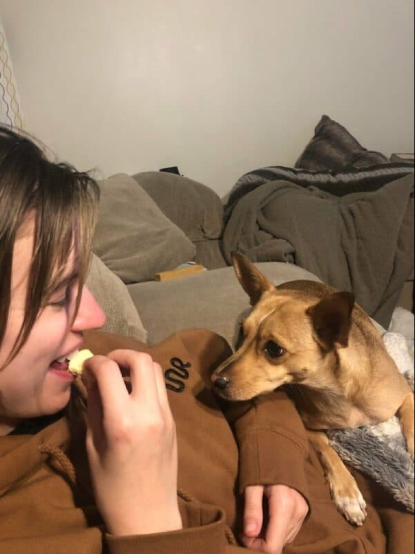 ¡No puedes rechazarlos! 22 fotos de animales mirando comida ¡No puedes rechazarlos! 22 fotos de animales mirando comida
