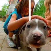 No se necesitan gafas 3D: gifs listos para saltar de la pantalla