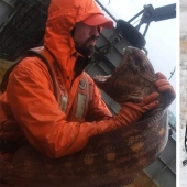 ¡No se puede jugar con la naturaleza! 22 fotos que te convencerán de esto