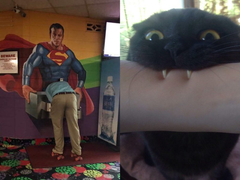 No todos los días se ve esto! 25 increíbles eventos y cosas, capturado en la foto No todos los días se ve esto! 25 increíbles eventos y cosas, capturado en la foto