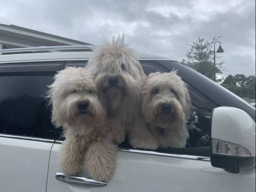 No todos los días se ve esto! 25 increíbles eventos y cosas, capturado en la foto No todos los días se ve esto! 25 increíbles eventos y cosas, capturado en la foto