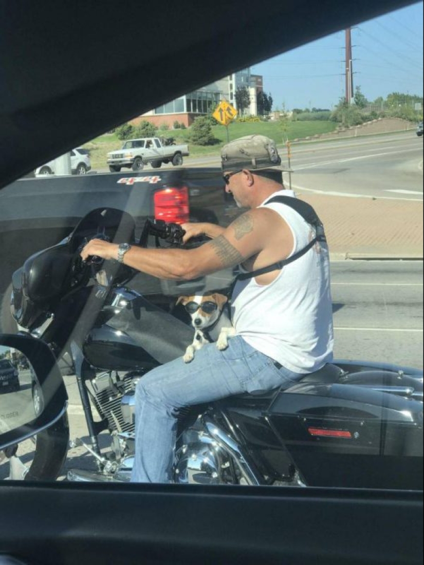 No todos los días se ve esto! 25 increíbles eventos y cosas, capturado en la foto No todos los días se ve esto! 25 increíbles eventos y cosas, capturado en la foto