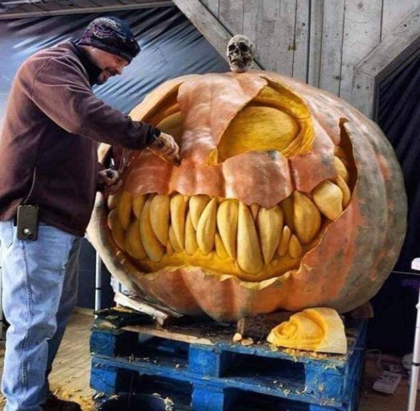 No todos los días se ve esto! 25 increíbles eventos y cosas, capturado en la foto No todos los días se ve esto! 25 increíbles eventos y cosas, capturado en la foto