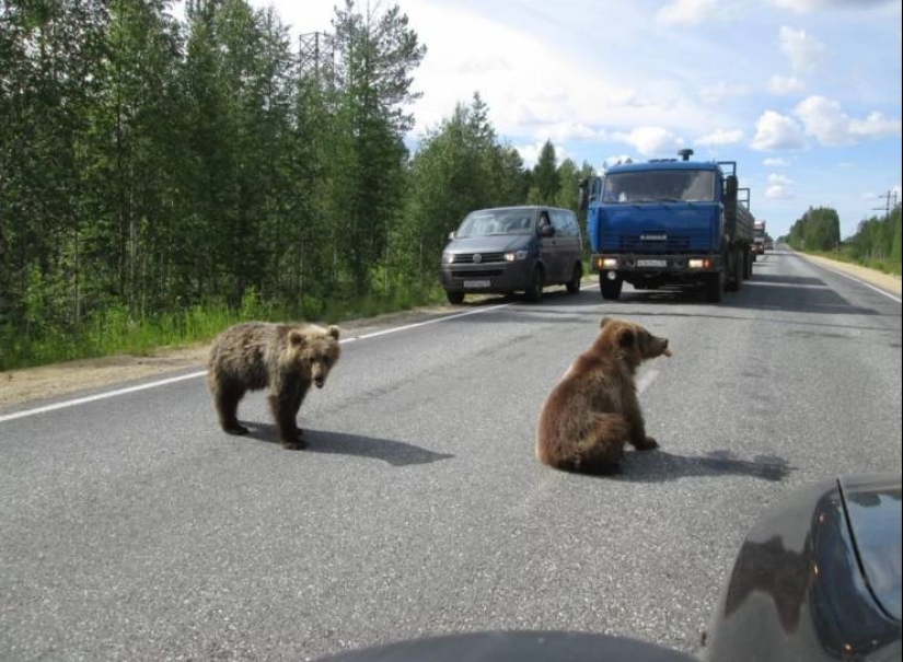 No todos los días se ve esto! 25 increíbles eventos y cosas, capturado en la foto No todos los días se ve esto! 25 increíbles eventos y cosas, capturado en la foto