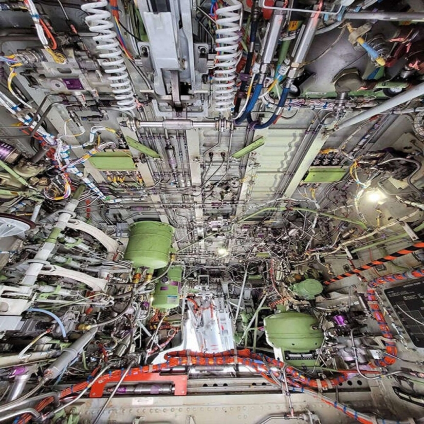 No ves esto todos los días: 25 fotos increíbles de todo No ves esto todos los días: 25 fotos increíbles de todo