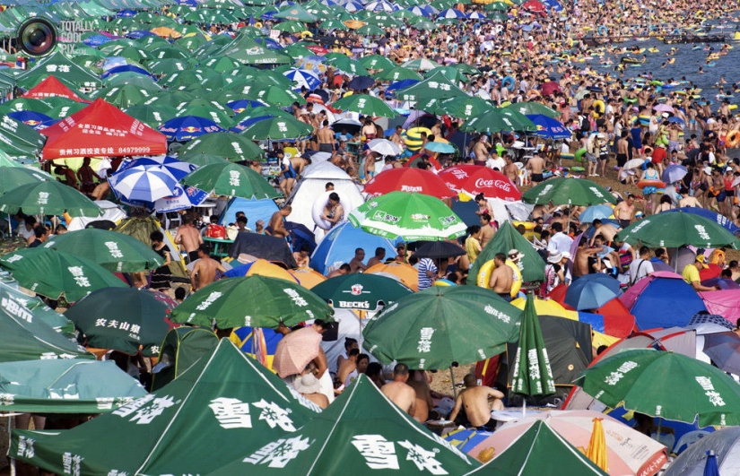 Nos hizo demasiado, y es imposible cambiar