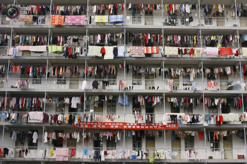 Nos hizo demasiado, y es imposible cambiar