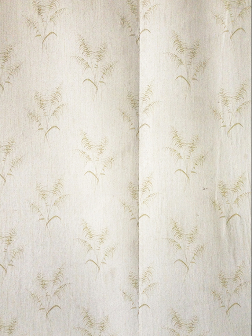 Nostalgia íntima: lo que las paredes de los apartamentos soviéticos abandonados pueden decirte Nostalgia íntima: lo que las paredes de los apartamentos soviéticos abandonados pueden decirte